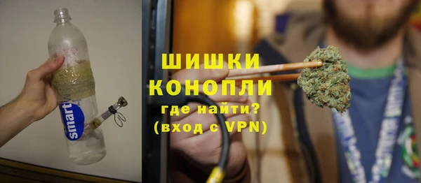 ECSTASY Липки