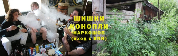 ECSTASY Липки