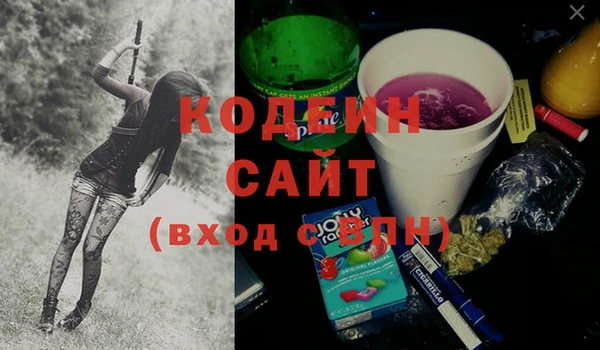 ECSTASY Липки