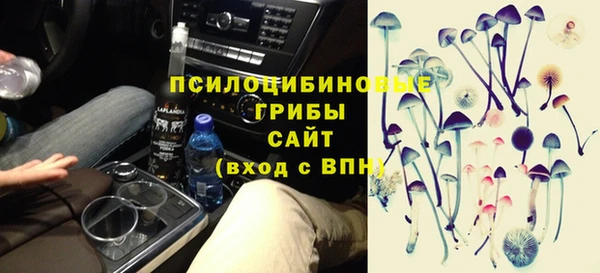 ECSTASY Липки