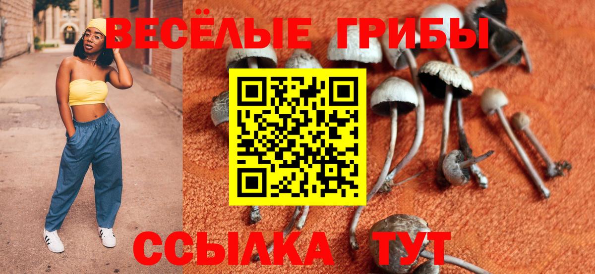 Екатеринбург  Псилоцибиновые грибы Psilocybine cubensis  Вход с VPN 