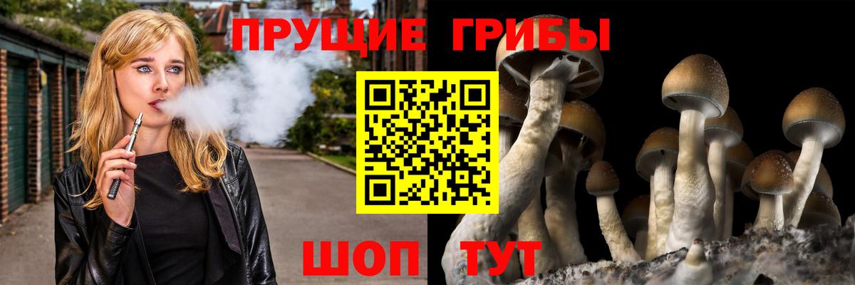 Галлюциногенные грибы MAGIC MUSHROOMS Екатеринбург