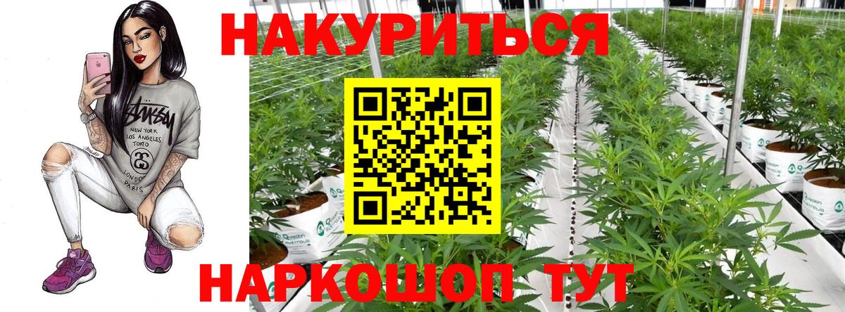 Конопля White Widow  Шишки марихуана White Widow  Екатеринбург  Конопля конопля 